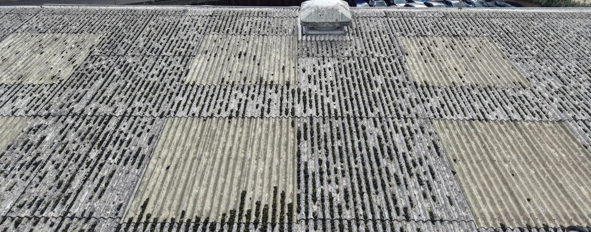 Oblique aerial view of mossed corrugated fibre-cement sheeting with a roof vent and neighbouring buildings behind