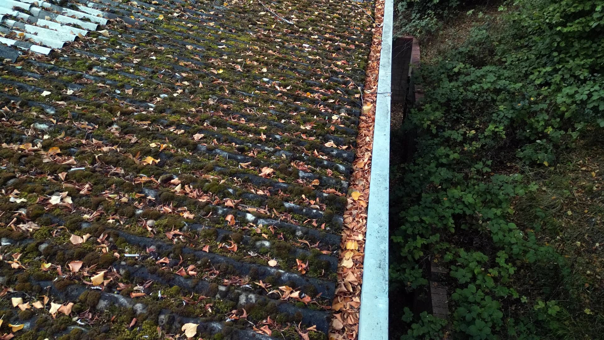 Oblique view along a roof eave with moss and leaf litter against the gutter, trees beyond