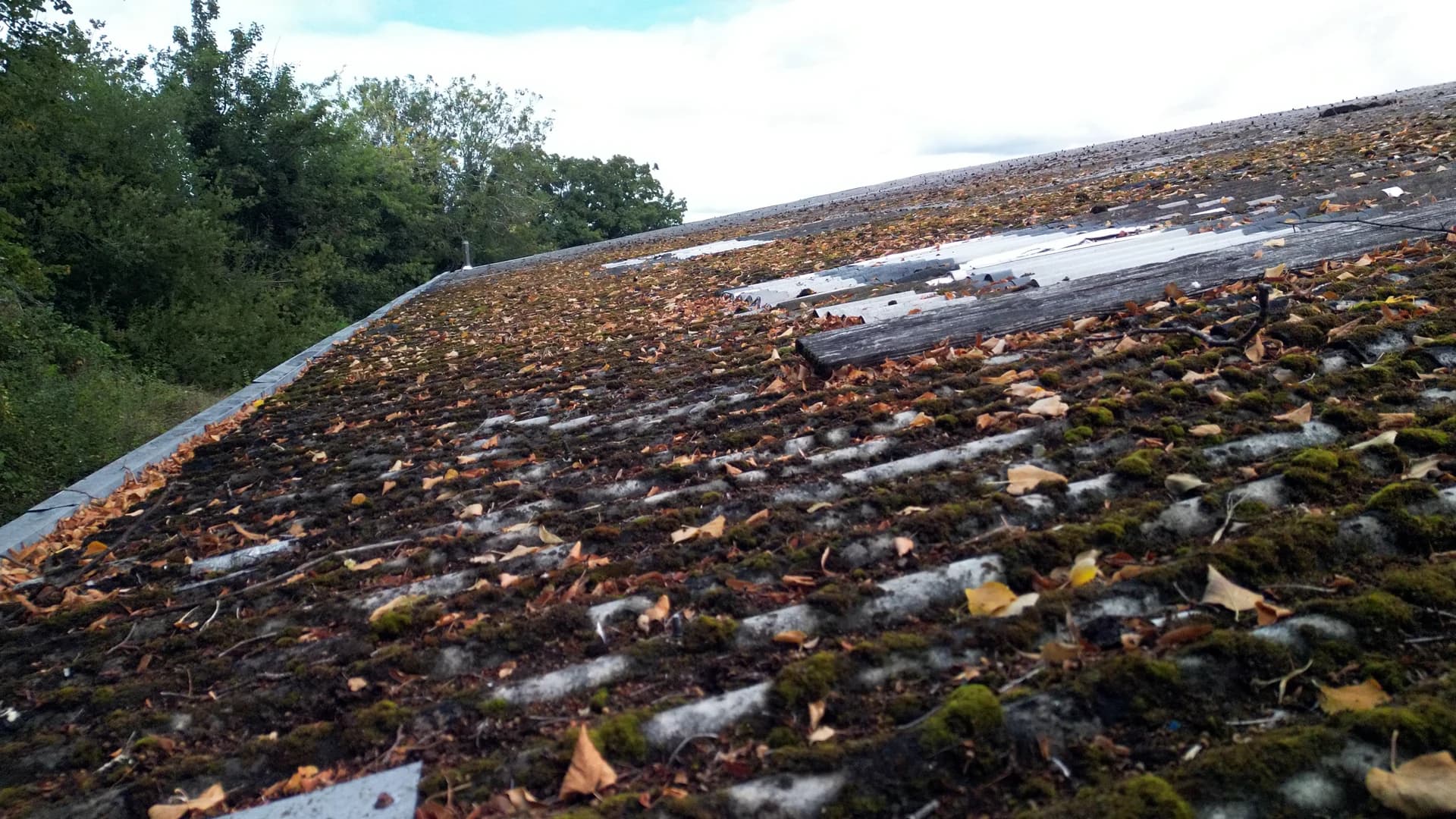 Oblique view along a roof eave with moss and leaf litter against the gutter, trees beyond
