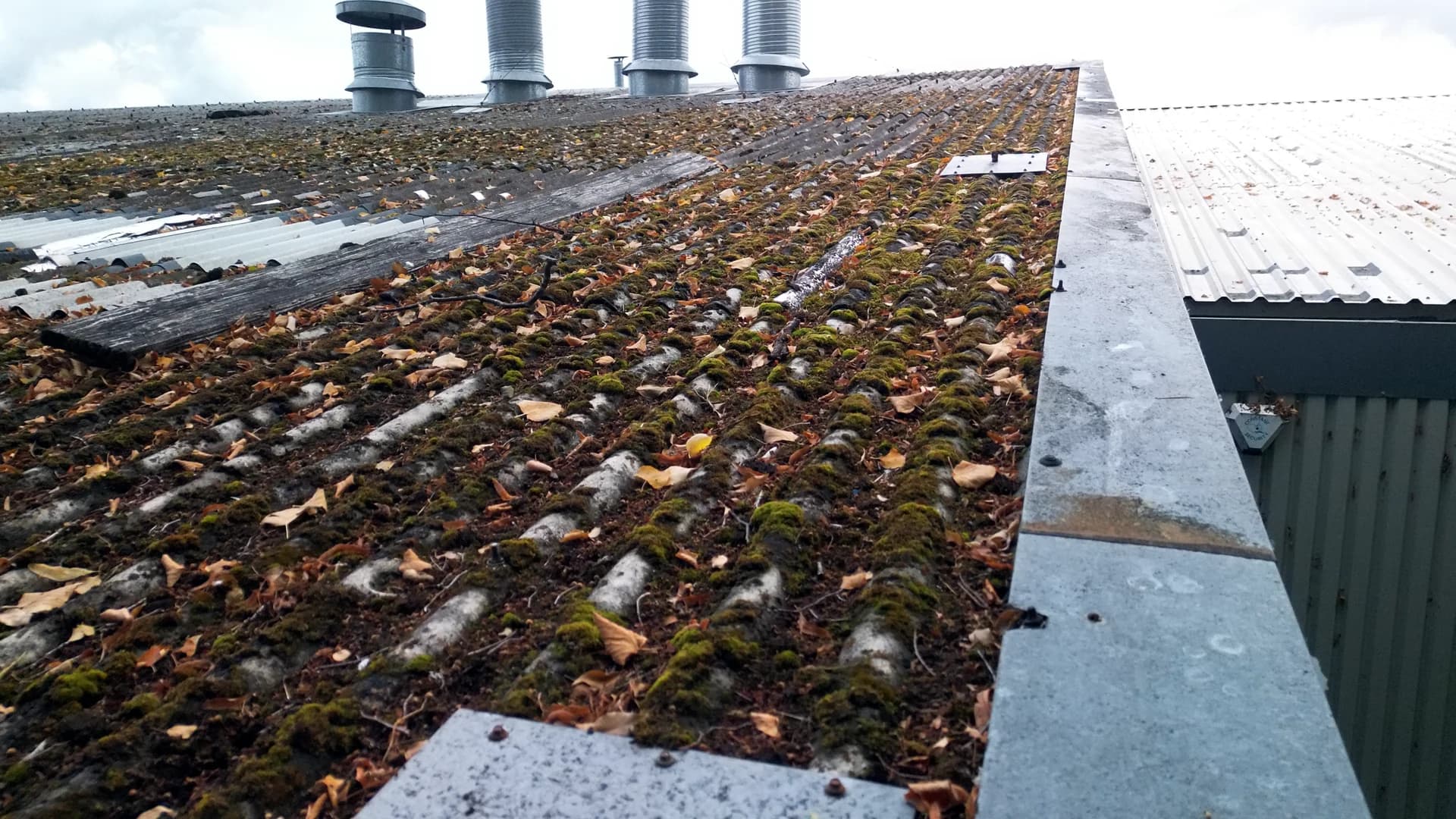 Oblique view along a roof eave with moss and leaf litter against the gutter, vent stacks at the top