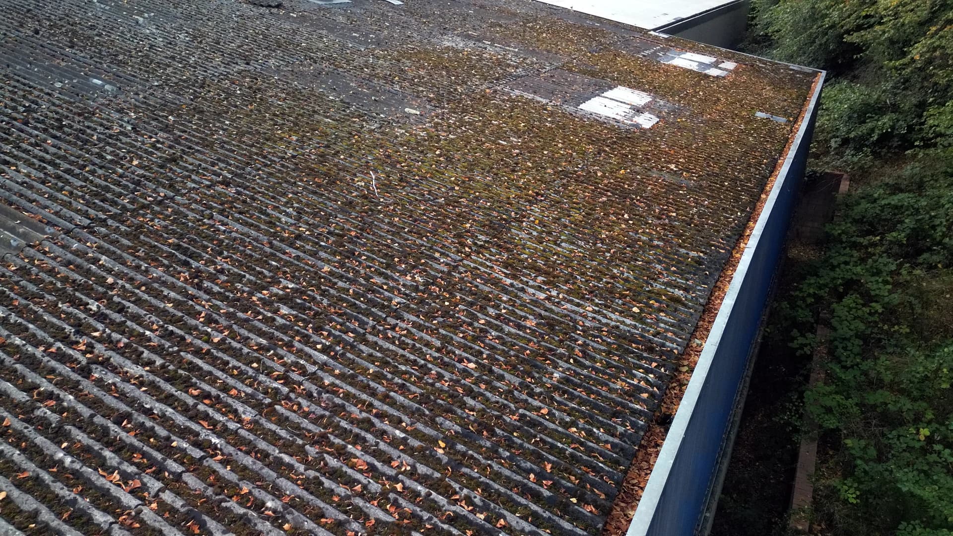 Oblique view along a roof edge with moss and autumn leaves across the sheeting, cladding and a gutter at the right