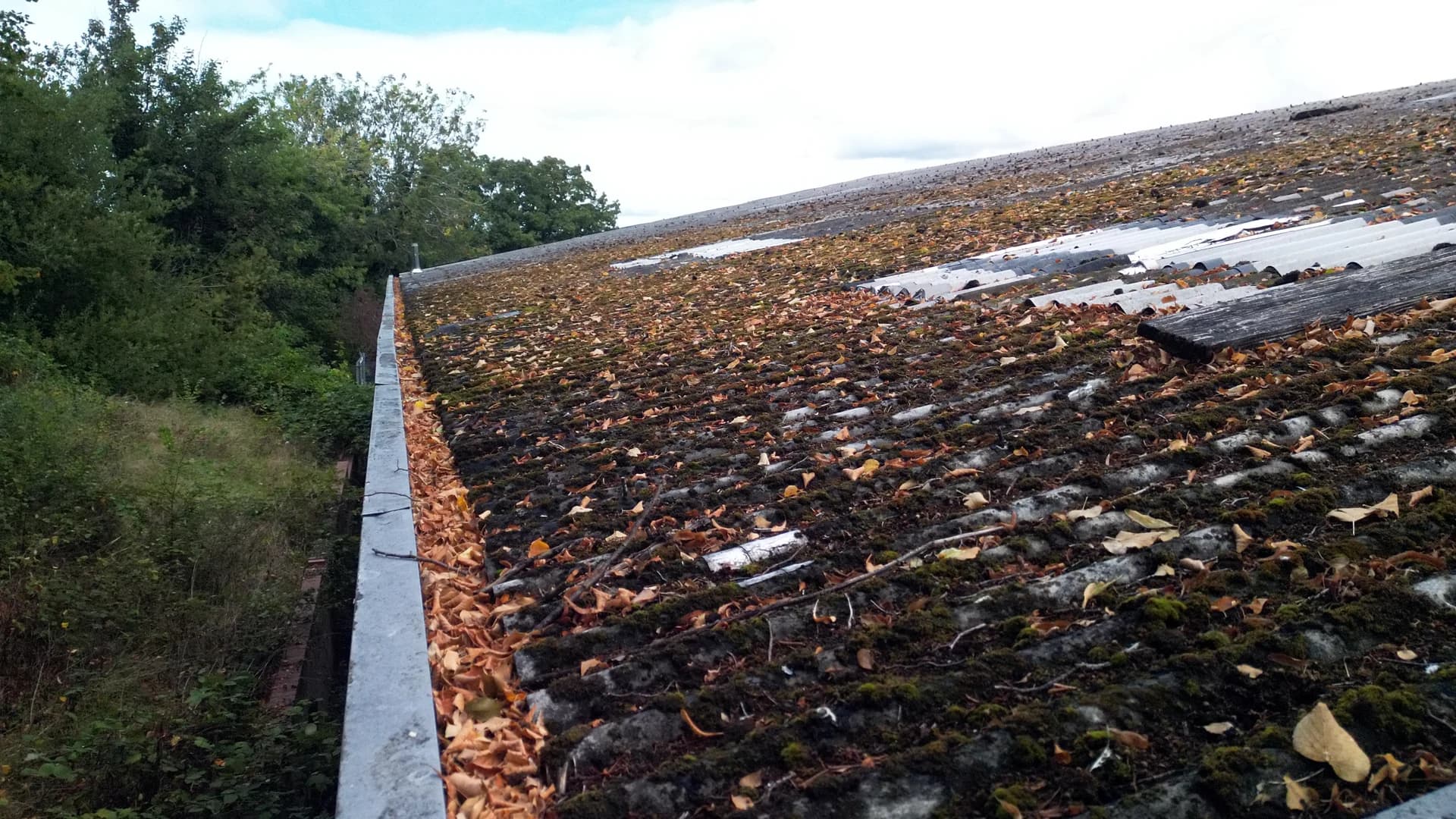 Roof edge looking along the eave: moss and leaf litter against the gutter with trees.