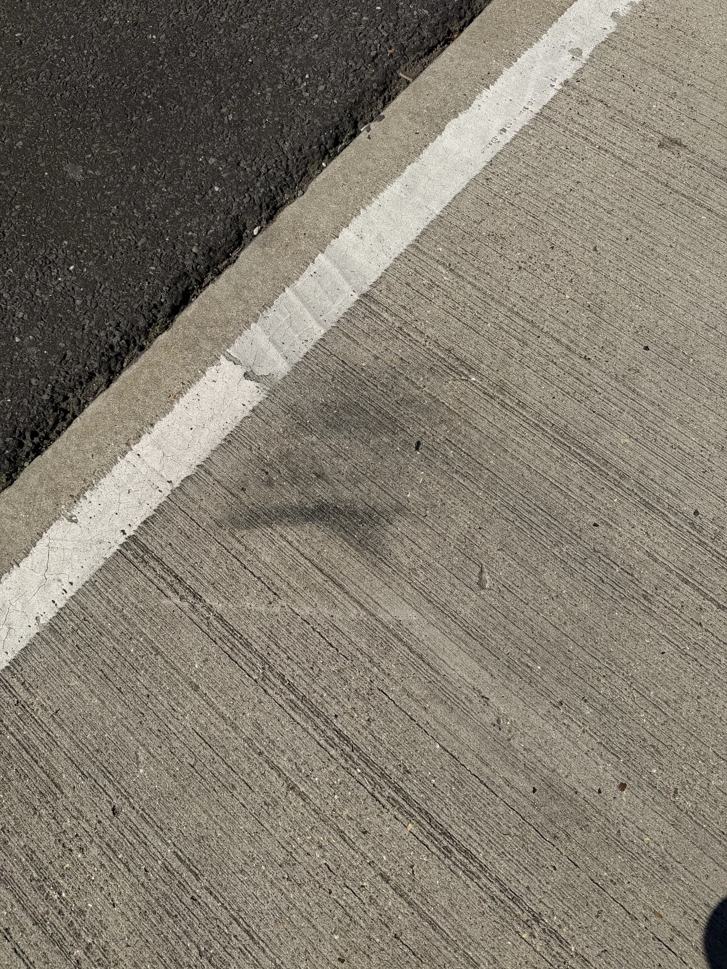 Small dark stain on concrete beside a white line at a tarmac edge