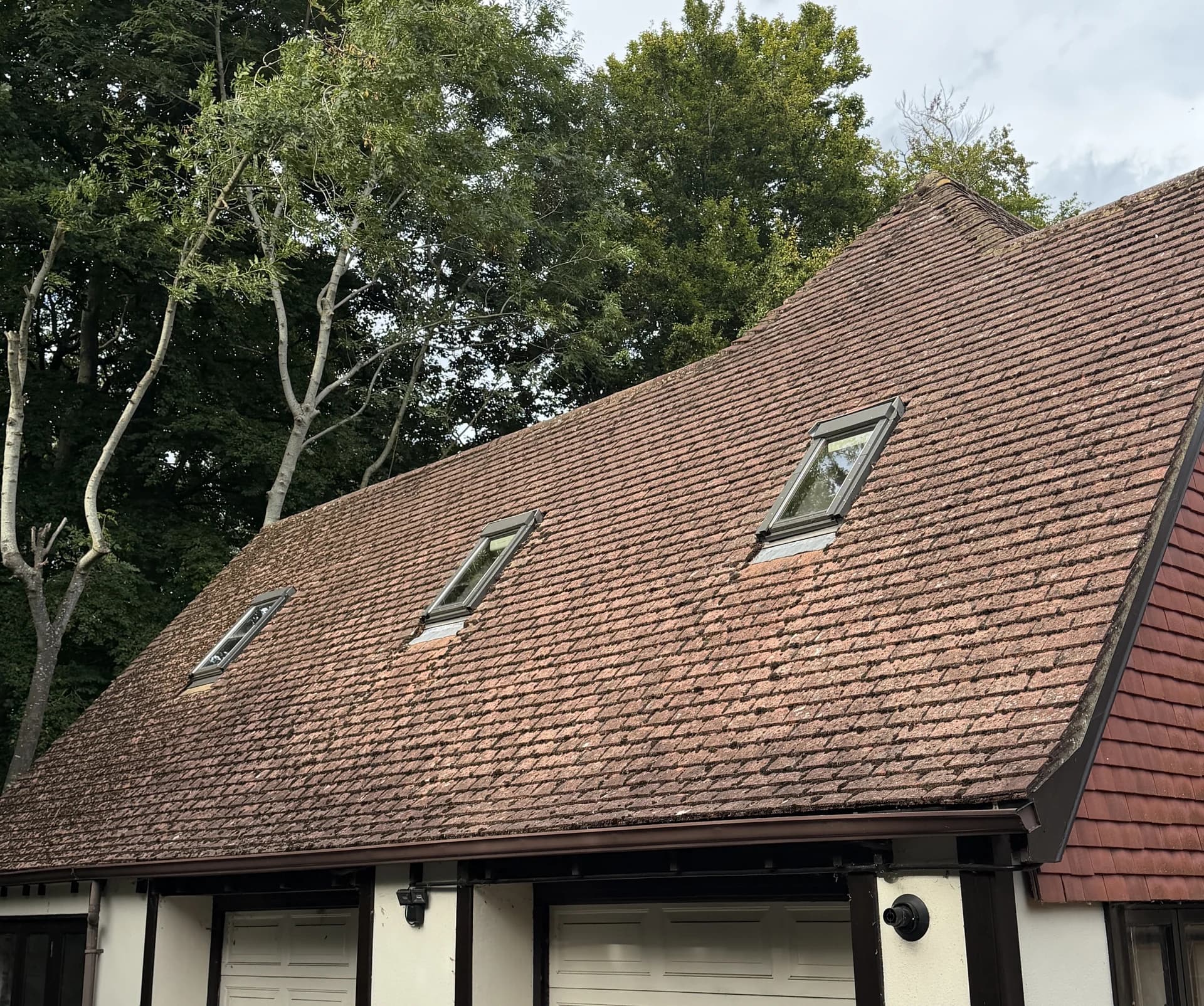 Tiled roof slope with rooflights above a garage, tree overhang.