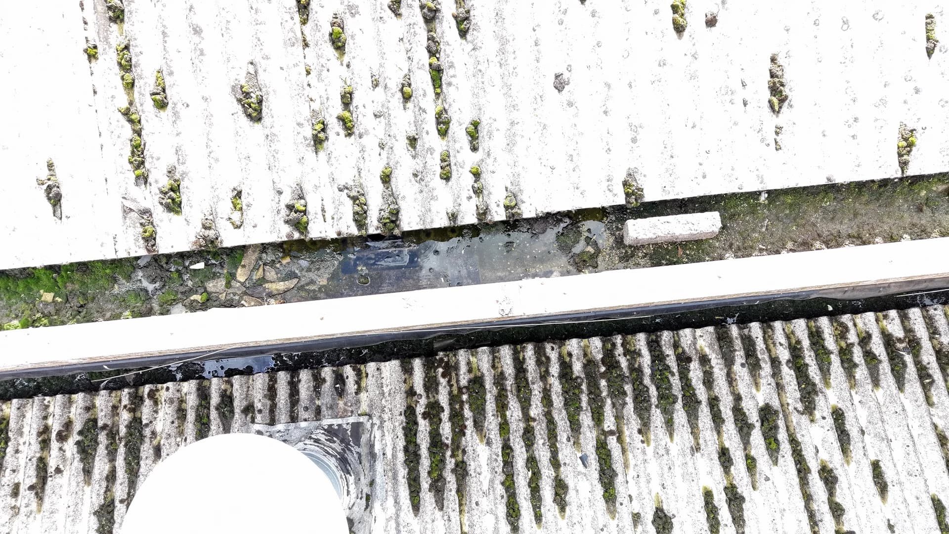 Top-down view of a gutter channel holding standing water, silt and moss between two roof slopes