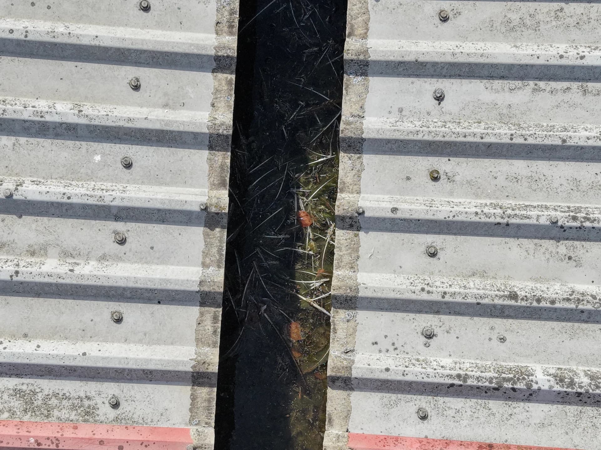 Top-down view of a valley gutter filled with matted debris and standing water between two roof slopes