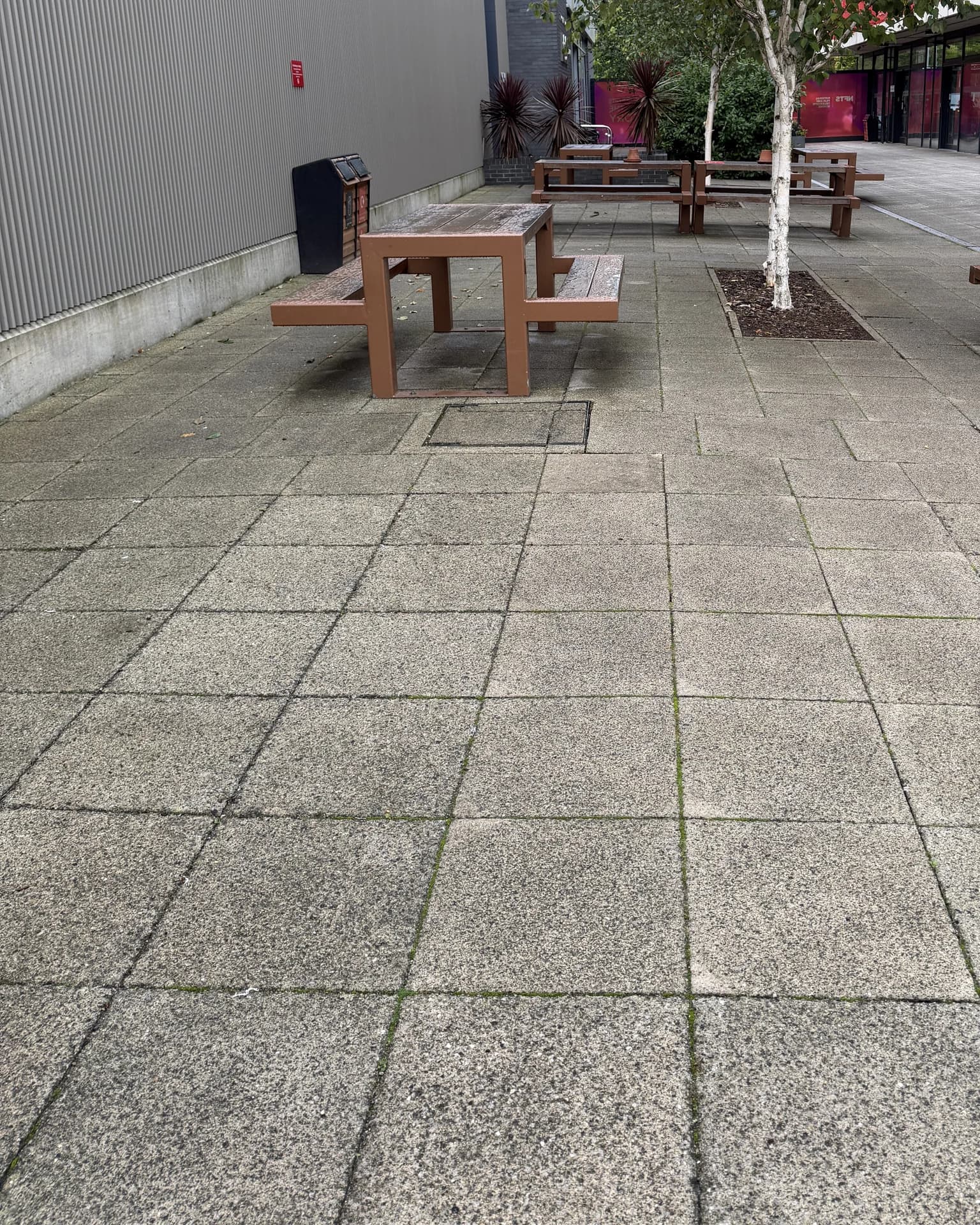 Wide view of a paved courtyard with timber benches and a young birch tree, before cleaning
