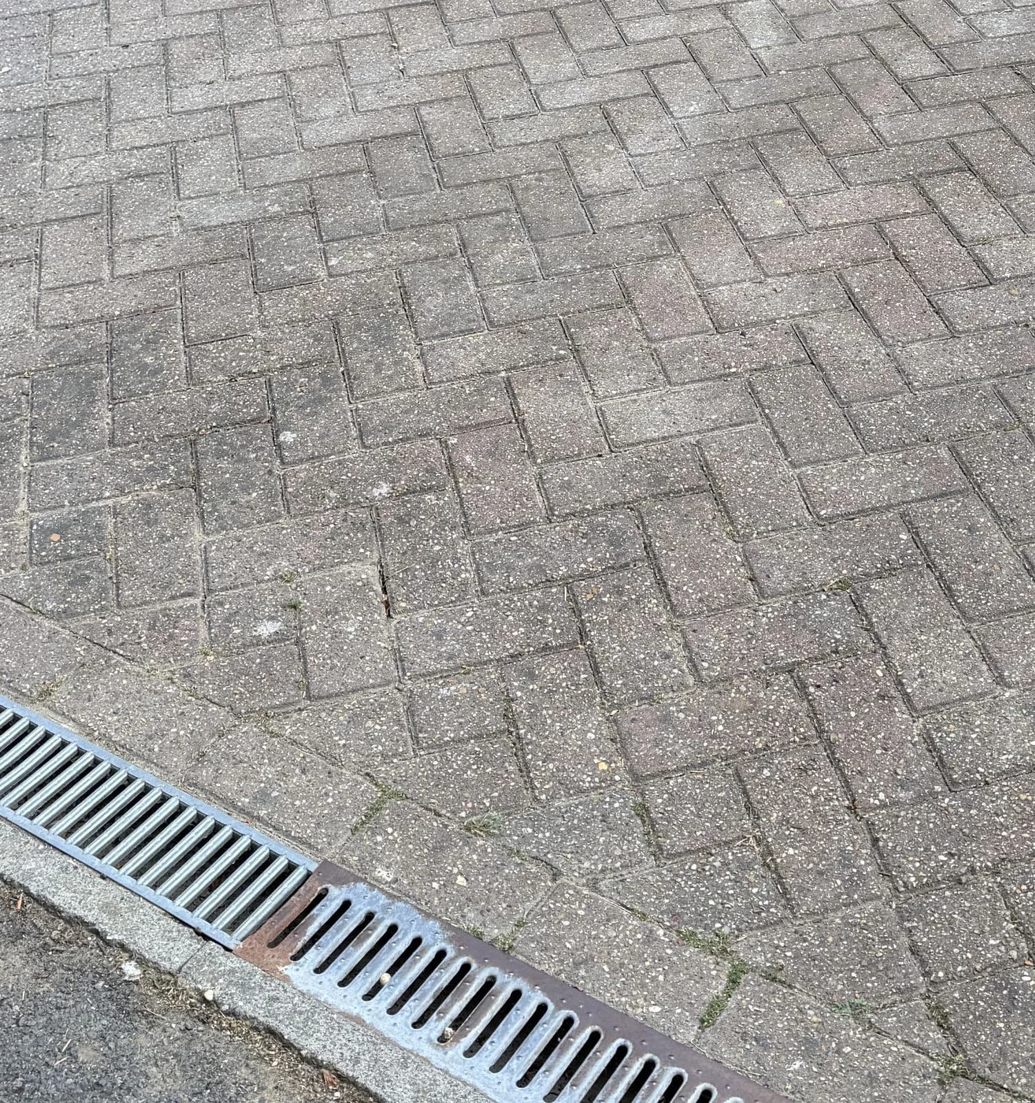 Close-up of the block paving before cleaning: black spot, soiling and deteriorated jointing sand between the blocks