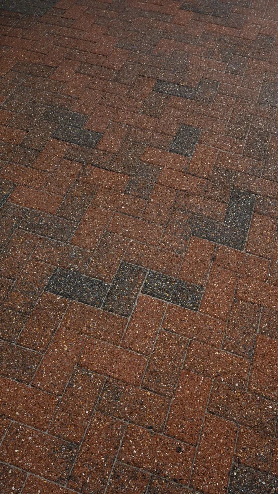 Tight close-up of the finished block paving with fresh polymeric sand joints