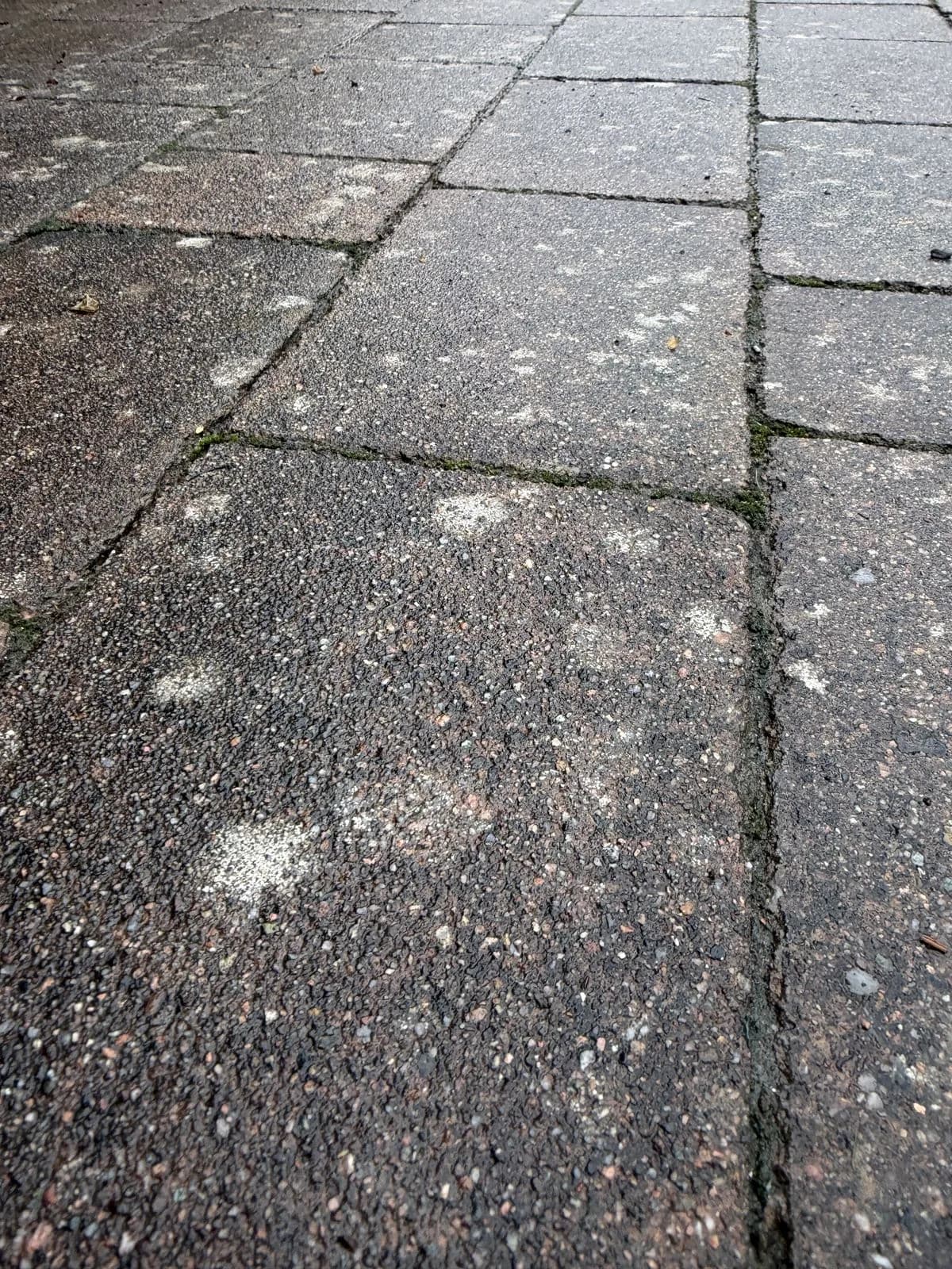 Tight close-up of the block paving before cleaning, covered in lichen and black spot with moss in the joints