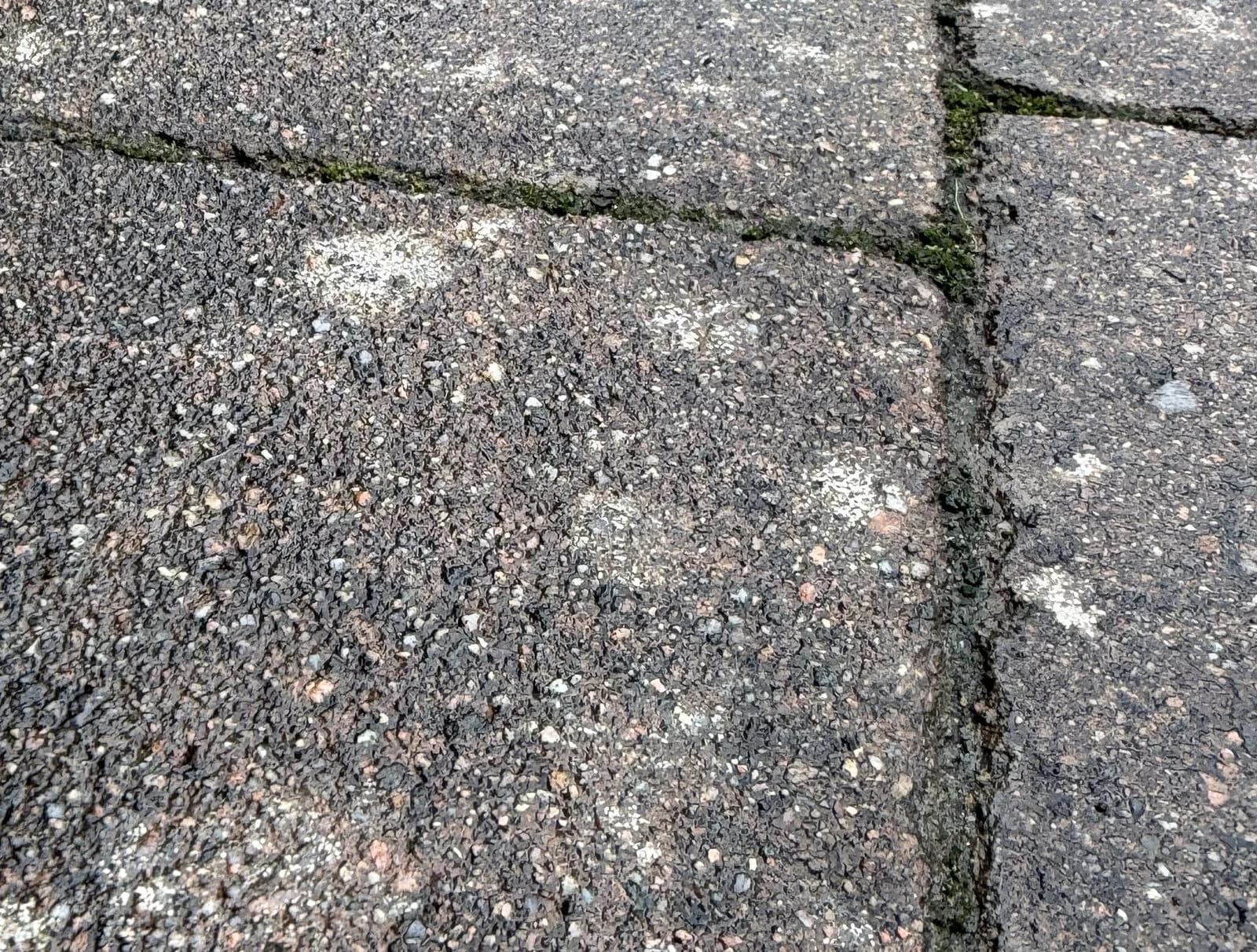 Tight close-up of the same block paving before restoration, crusted with lichen and black spot