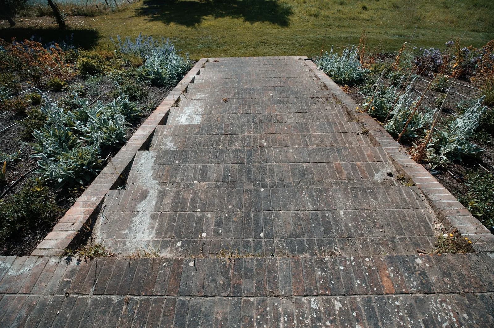 The brick pathway before cleaning, darkened with moss and weathering