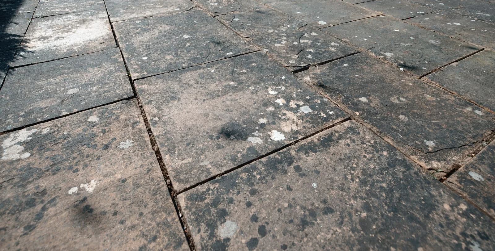 Close-up of black spot and lichen in the pores of the sandstone before cleaning
