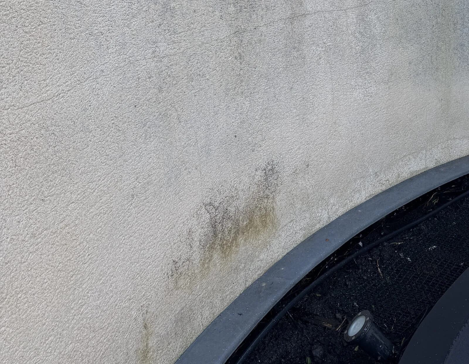 Green algae growing on the render before soft washing