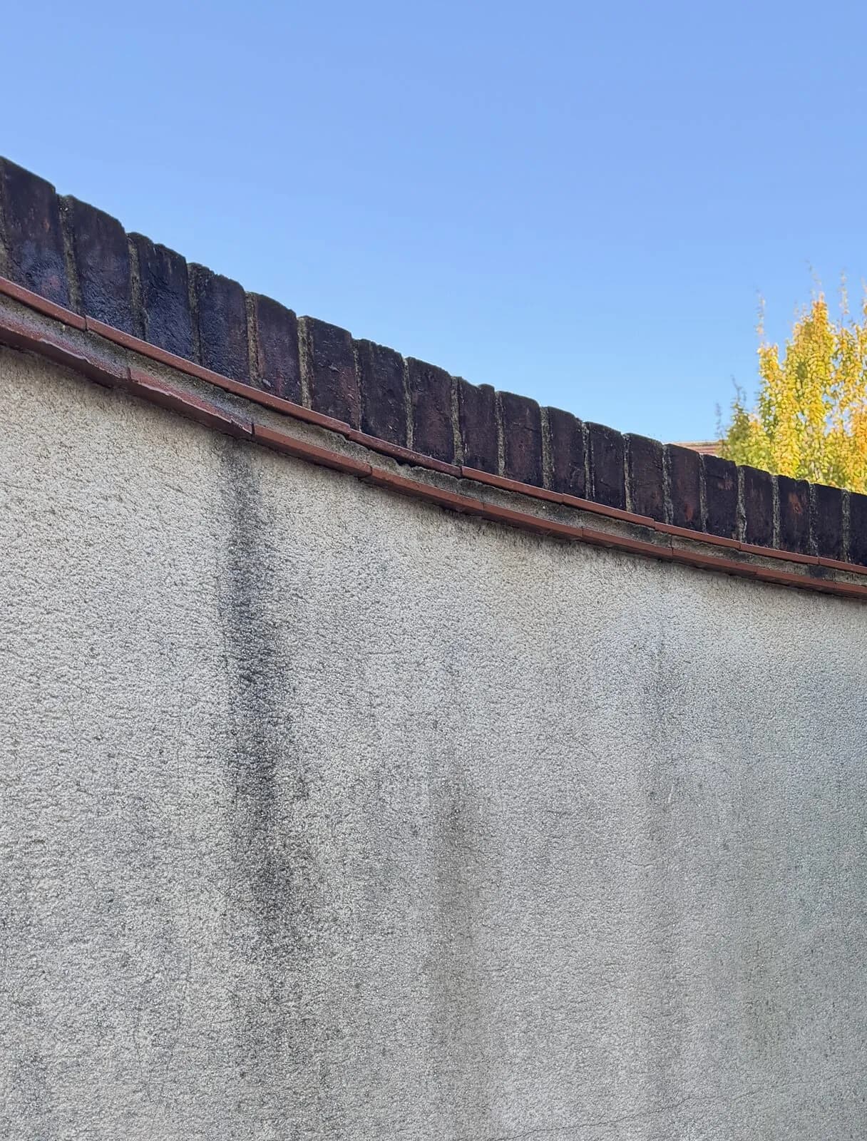 Black algae streaks following the water lines down the render