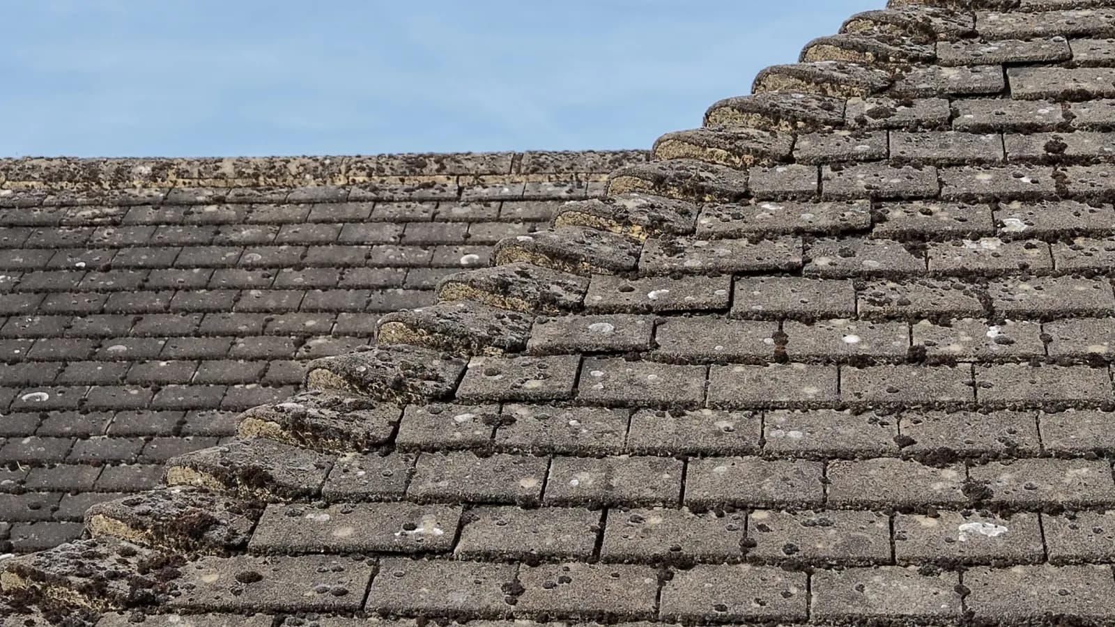 Moss packed along the hip and lichen in every course of the concrete tile roof in Great Missenden before cleaning