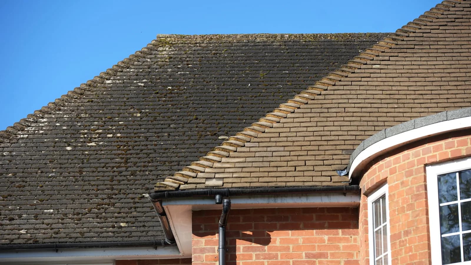 The roof halfway through cleaning — moss-covered tiles on one side of the slope, clean buff tiles on the other