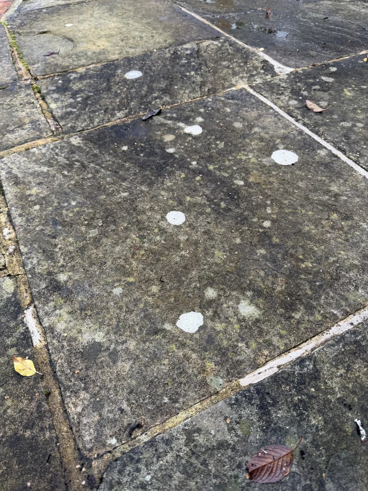 Indian sandstone crusted with pale lichen and dark with growth, the day before the works