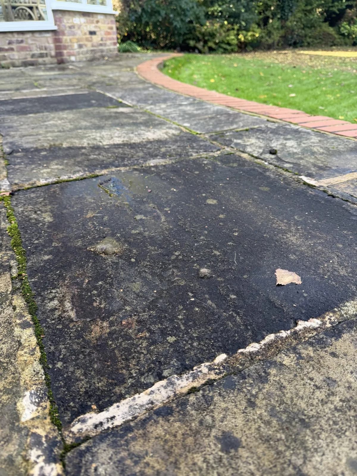 A sandstone slab almost black with growth, moss in the joints, before the works