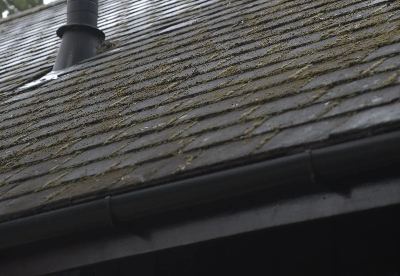 The slate roof in Marlow before cleaning, with moss established along every course