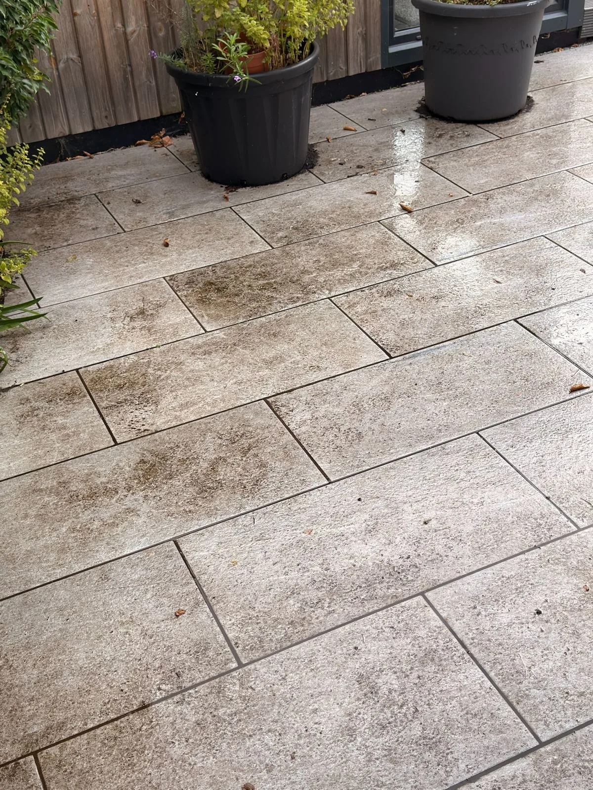The porcelain patio in Stratford-upon-Avon before restoration, filthy, with algae in the joints and across the tiles
