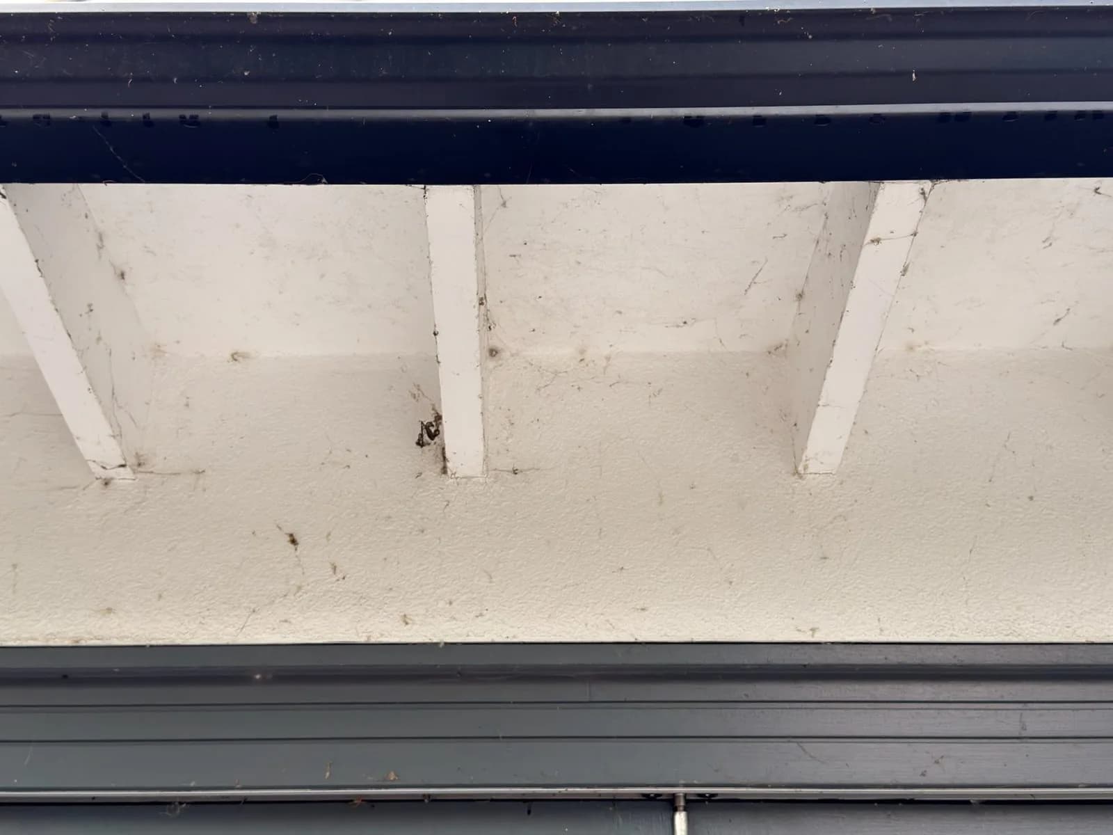 Soffit and fascia before soft wash cleaning, thick with cobwebs, nests and dirt between the rafters