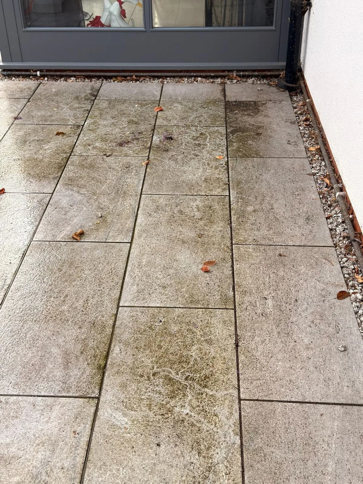The porcelain patio before restoration, looking down the tiles, with the old jointing failing and green with algae