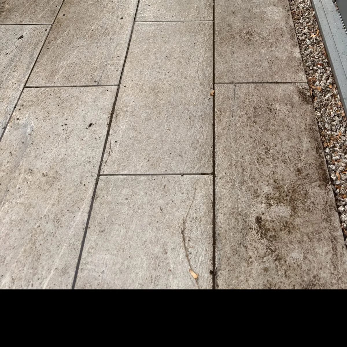 Tight shot of the porcelain before restoration, brown with grime and algae along the edge of the tiles