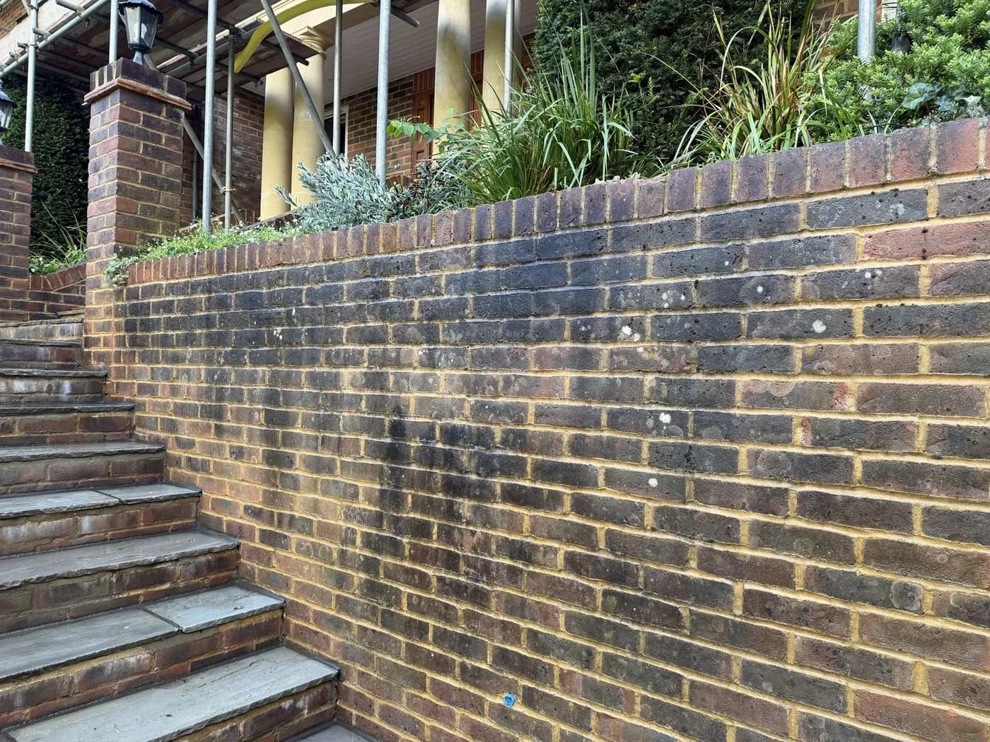 Black algae across a brick retaining wall and steps before soft washing