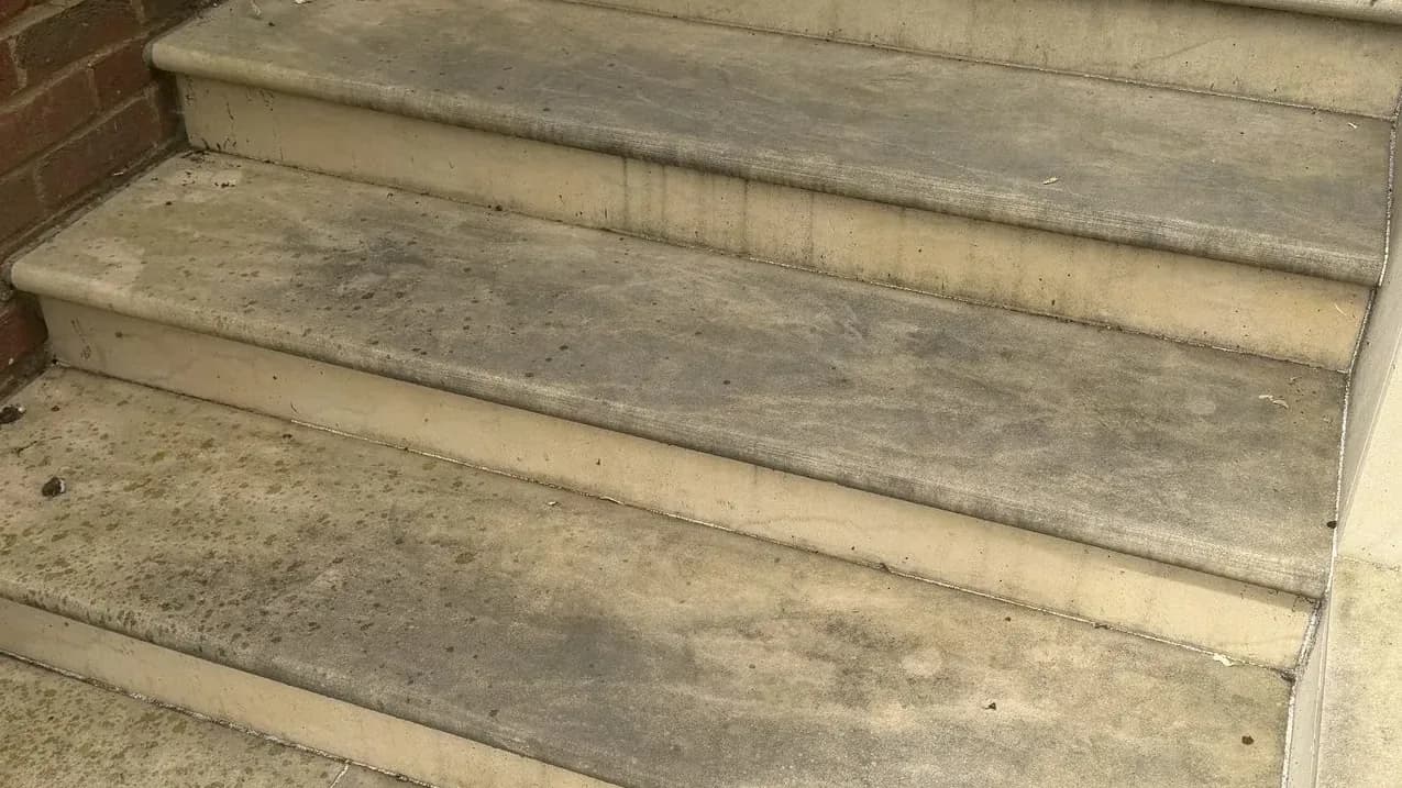 How to Stop Paths and Steps Going Green and Slippery