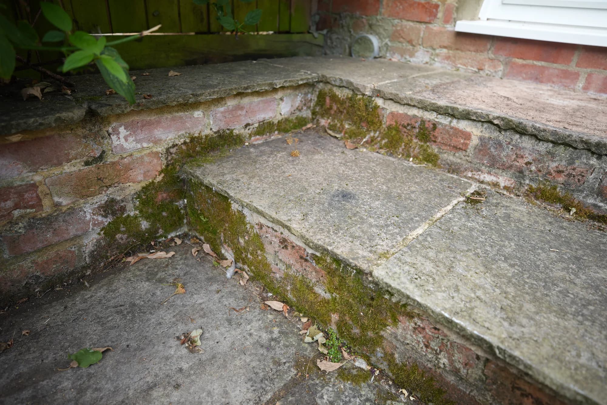 Black Spot on Sandstone