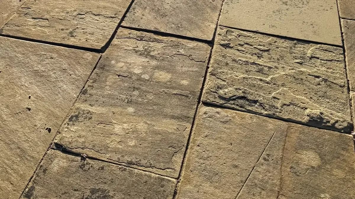 How to Remove Cement or Mortar Stains From Paving