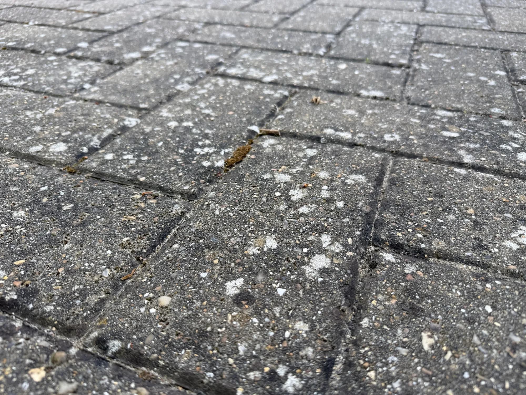 How to Clean AntiFreeze off Driveway