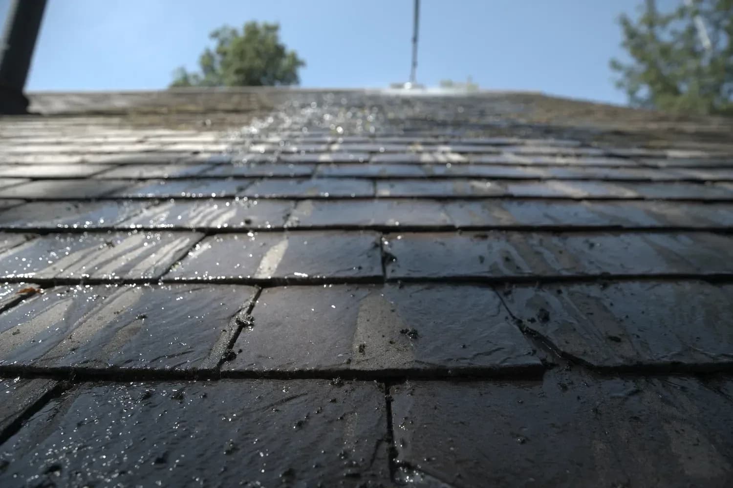Slate roof ridge after cleaning, with the slate colour restored