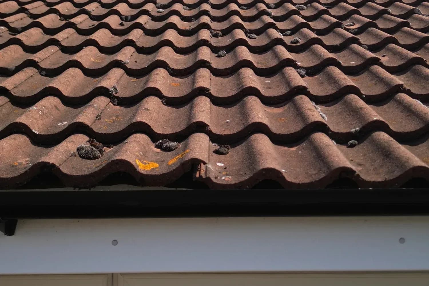 Close view of concrete roof tiles showing lichen and moss between the rolls