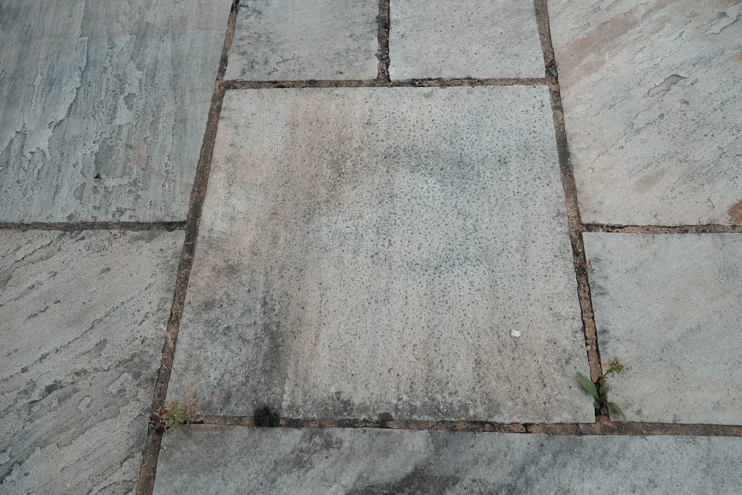 Weathered natural stone patio slabs with algae and weed growth in the joints
