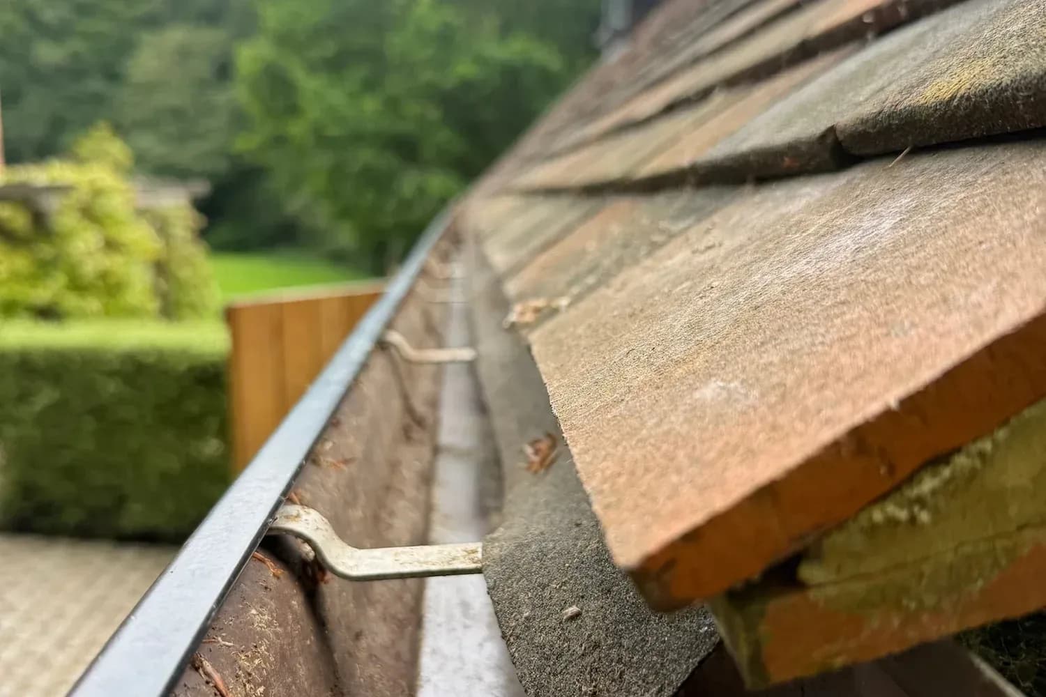 Silt and leaf debris collected inside a roofline gutter
